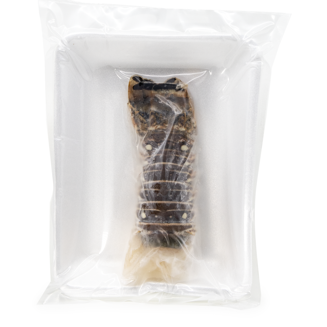 7 oz Rock Lobster Tails-Wild-Raw-Frozen-1 tail/PK_20U/CS